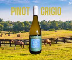 Pinot Grigio